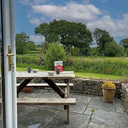 Maesyfelin Isaf B&B Llanybyther Esterno foto