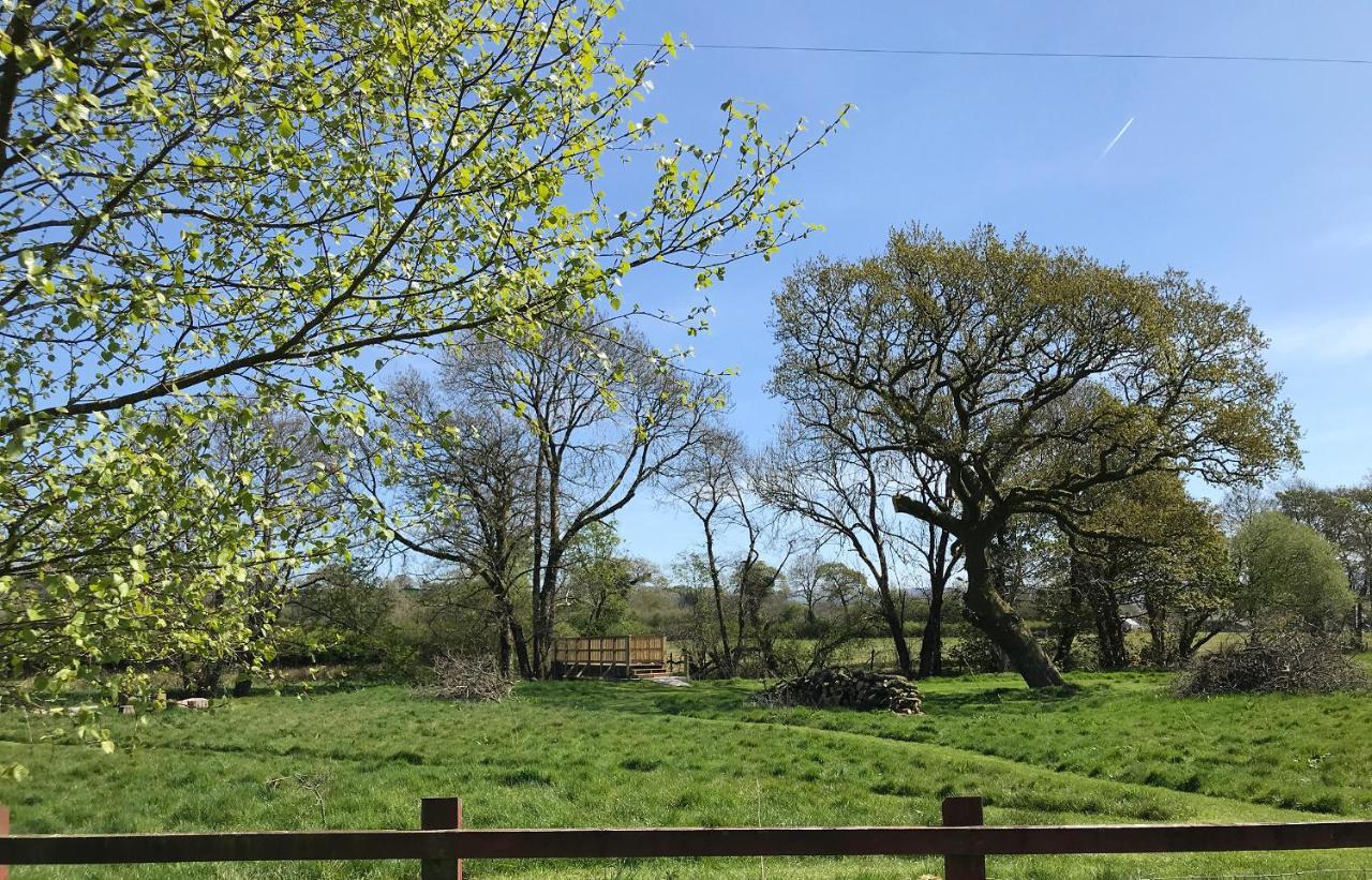 Maesyfelin Isaf B&B Llanybyther Esterno foto