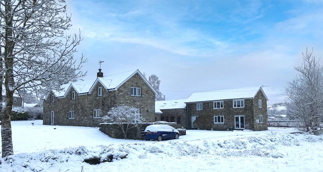 Maesyfelin Isaf B&B Llanybyther Esterno foto