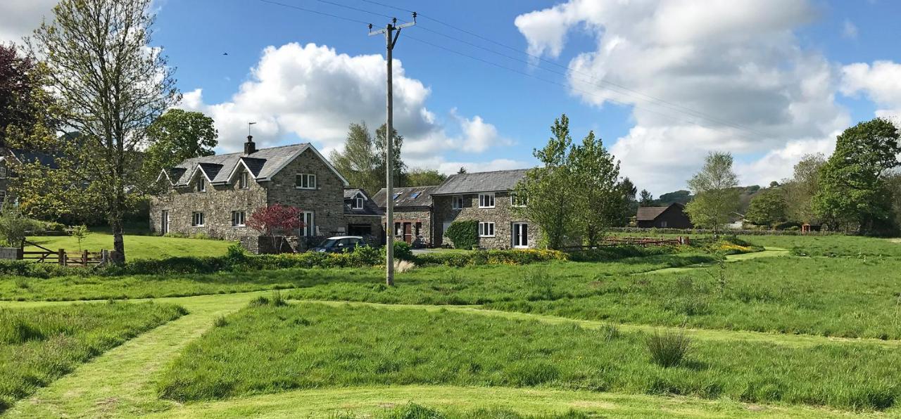 Maesyfelin Isaf B&B Llanybyther Esterno foto
