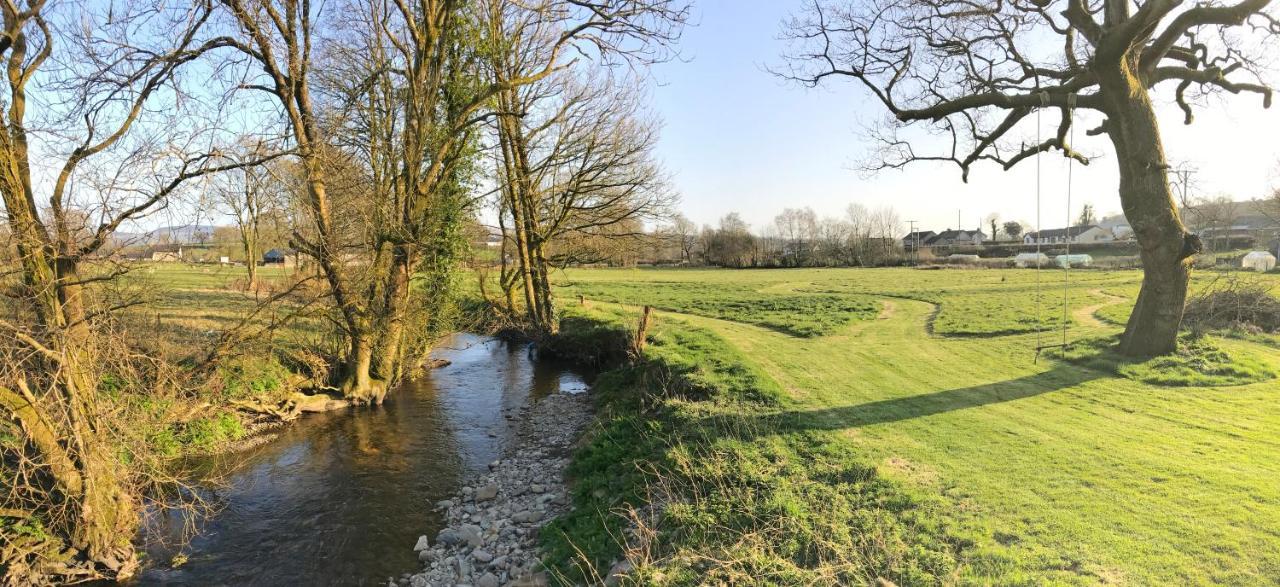 Maesyfelin Isaf B&B Llanybyther Esterno foto