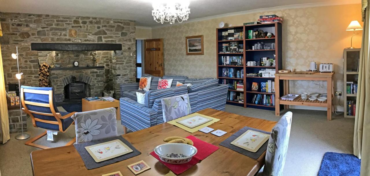 Maesyfelin Isaf B&B Llanybyther Esterno foto