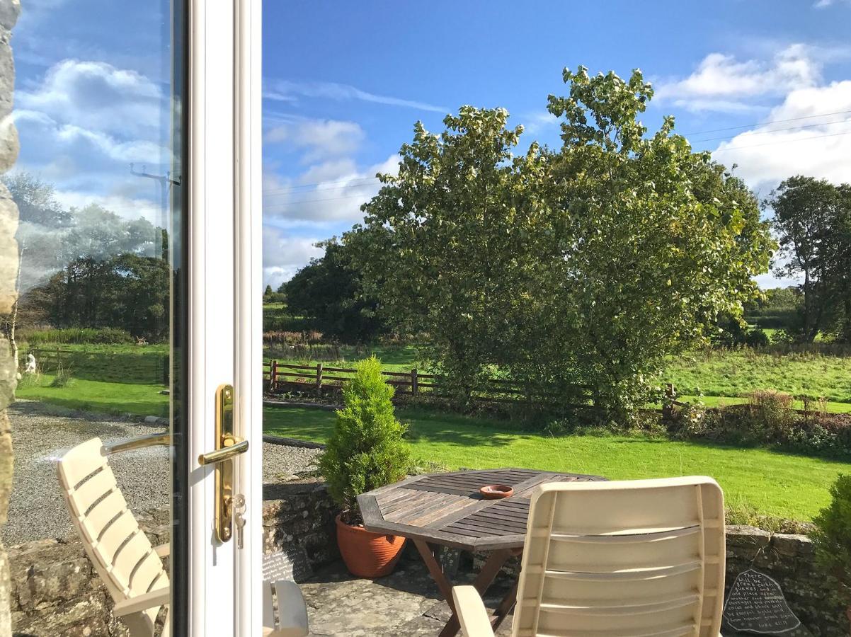 Maesyfelin Isaf B&B Llanybyther Esterno foto