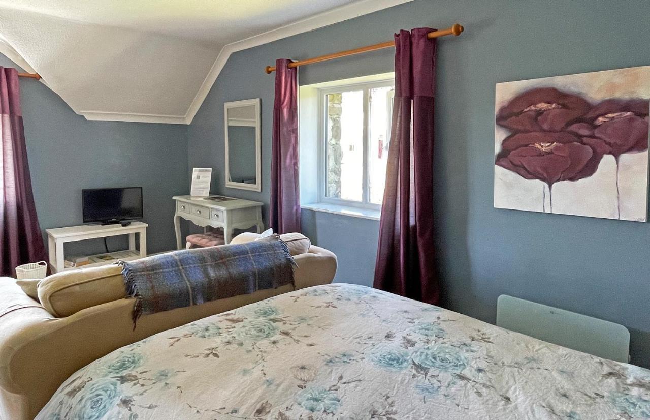 Maesyfelin Isaf B&B Llanybyther Esterno foto