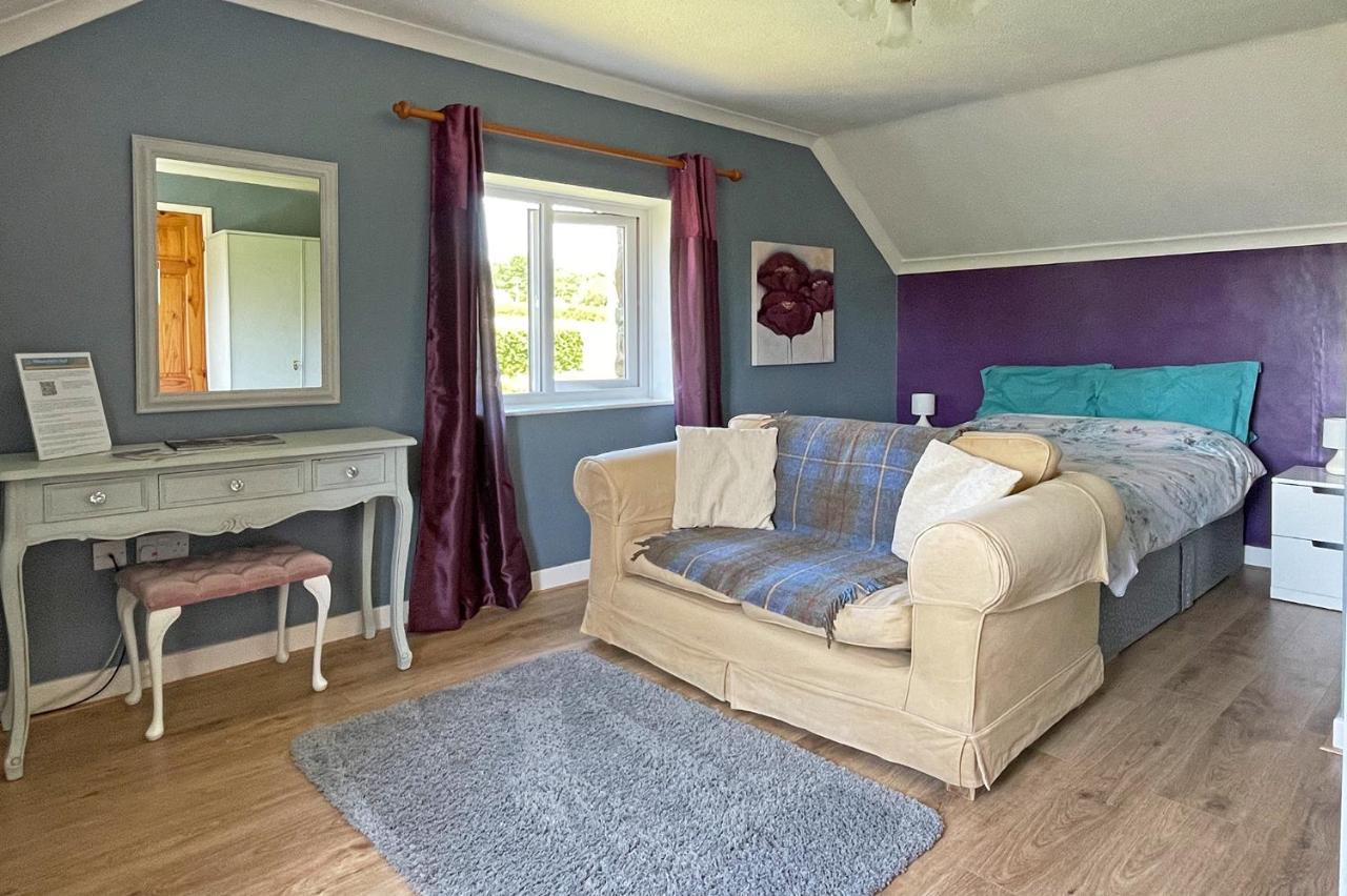 Maesyfelin Isaf B&B Llanybyther Esterno foto