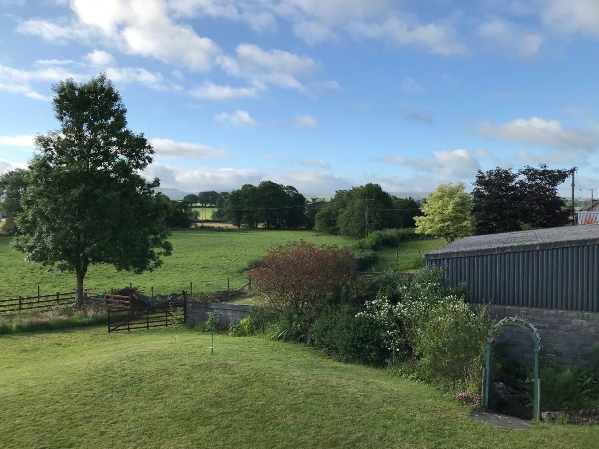 Maesyfelin Isaf B&B Llanybyther Esterno foto