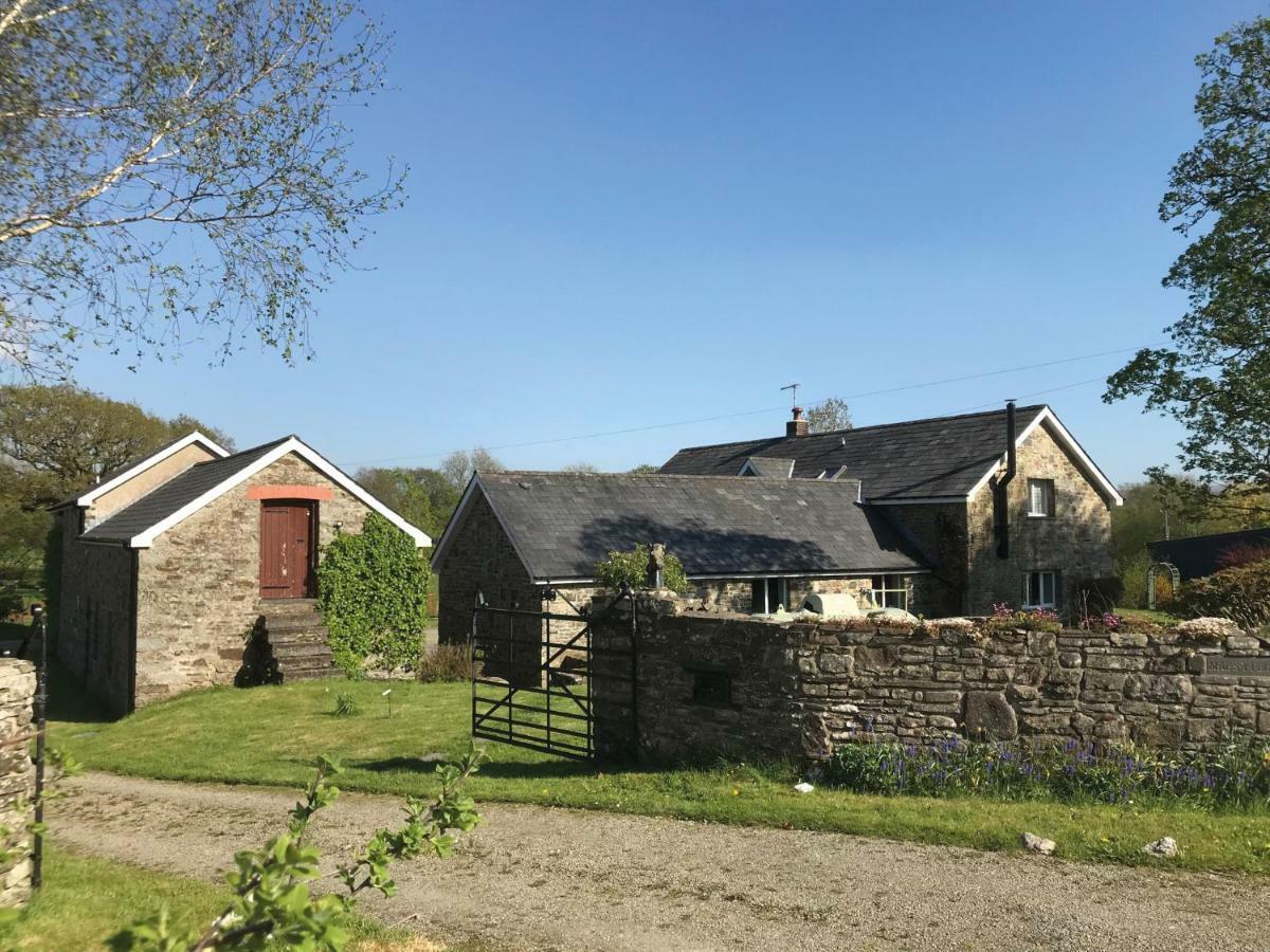 Maesyfelin Isaf B&B Llanybyther Esterno foto