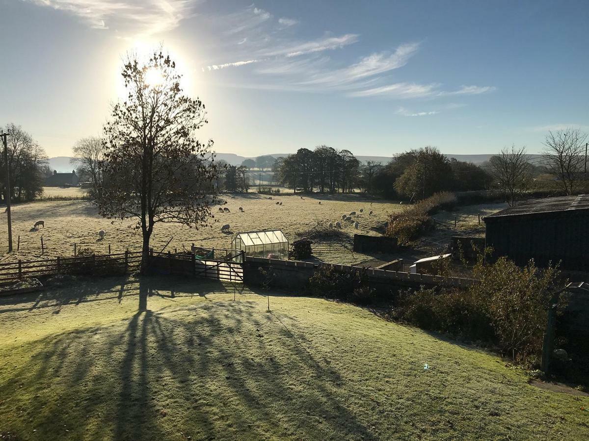 Maesyfelin Isaf B&B Llanybyther Esterno foto