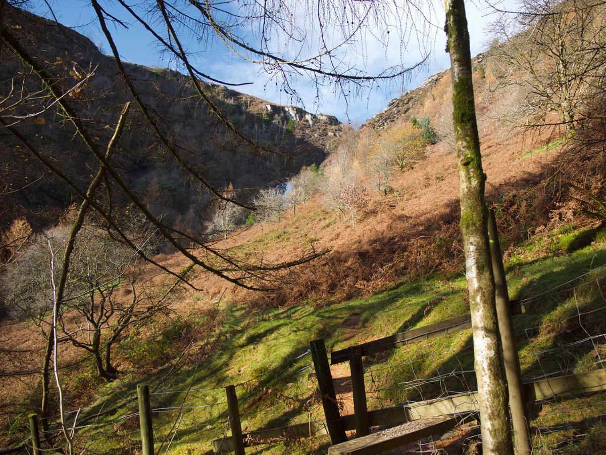 Maesyfelin Isaf B&B Llanybyther Esterno foto