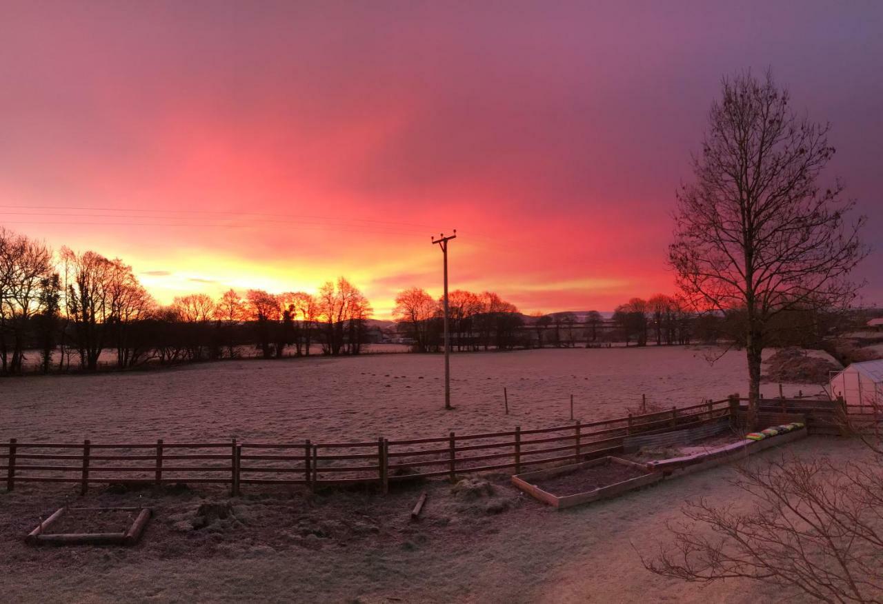 Maesyfelin Isaf B&B Llanybyther Esterno foto