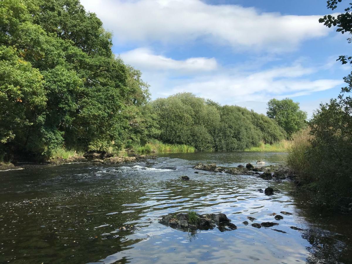 Maesyfelin Isaf B&B Llanybyther Esterno foto