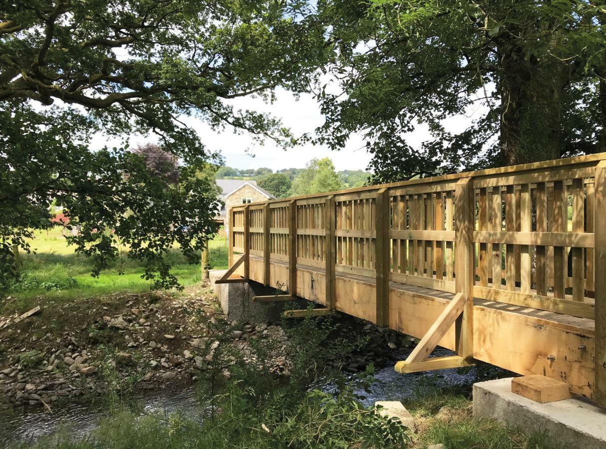 Maesyfelin Isaf B&B Llanybyther Esterno foto
