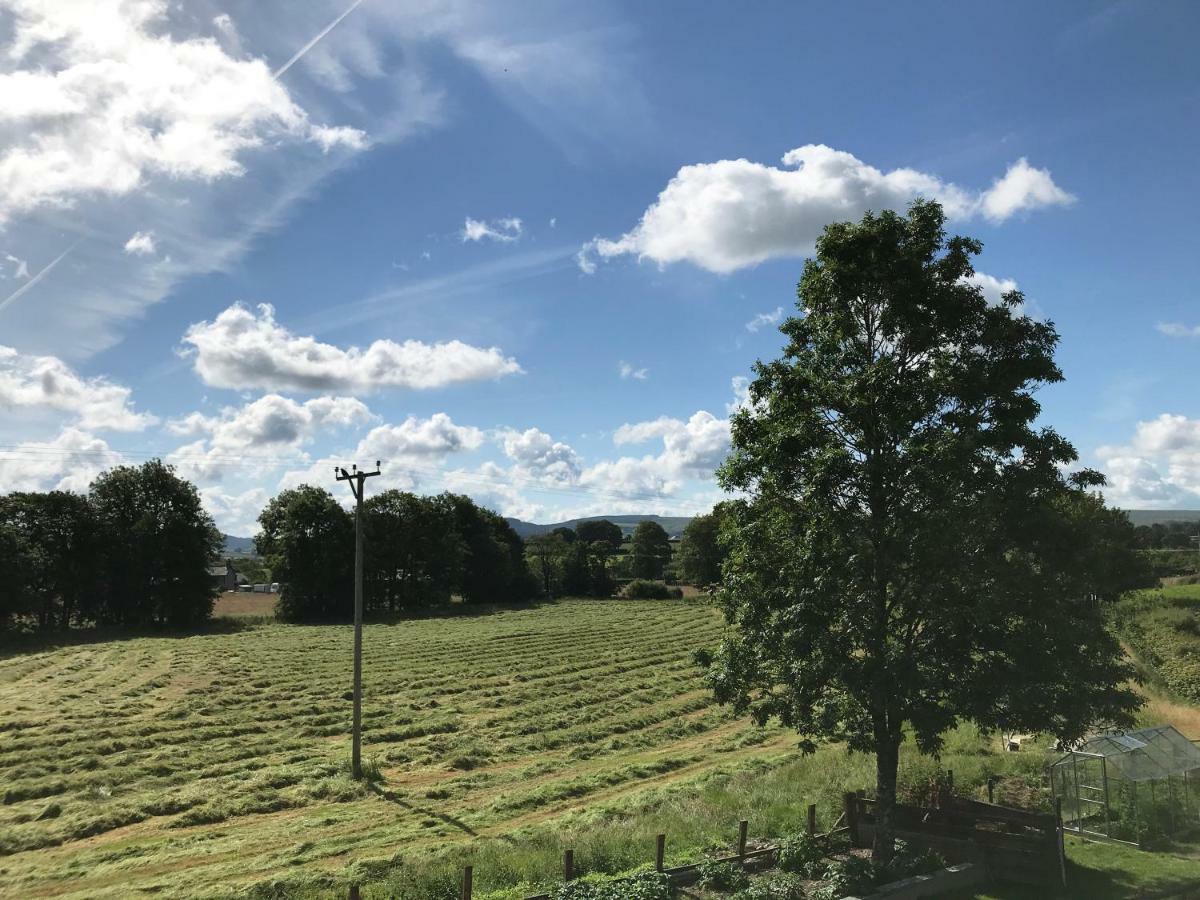 Maesyfelin Isaf B&B Llanybyther Esterno foto