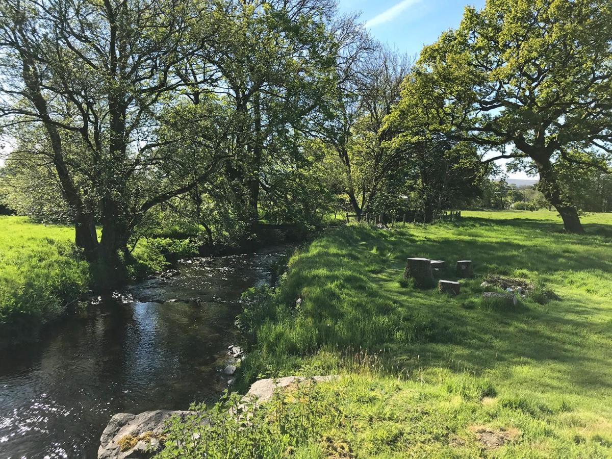 Maesyfelin Isaf B&B Llanybyther Esterno foto