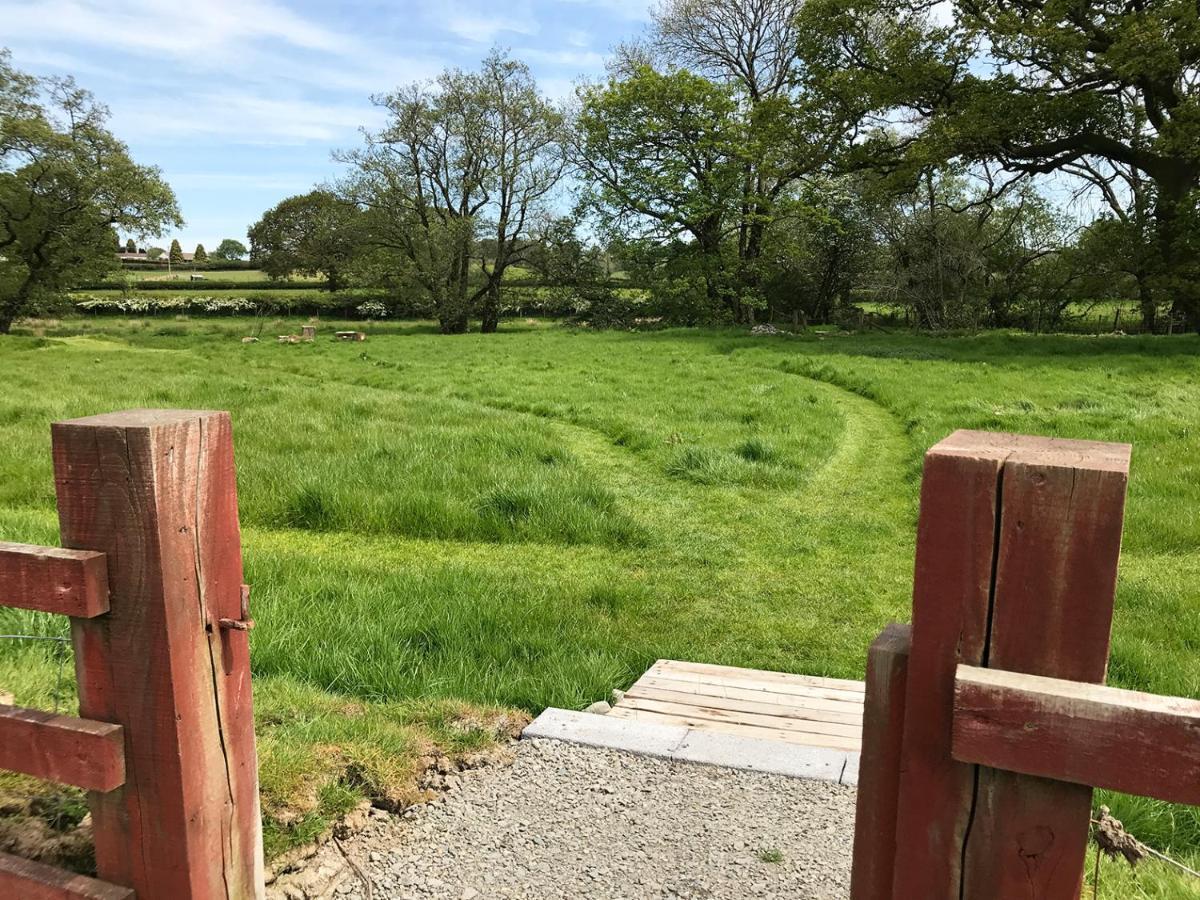 Maesyfelin Isaf B&B Llanybyther Esterno foto