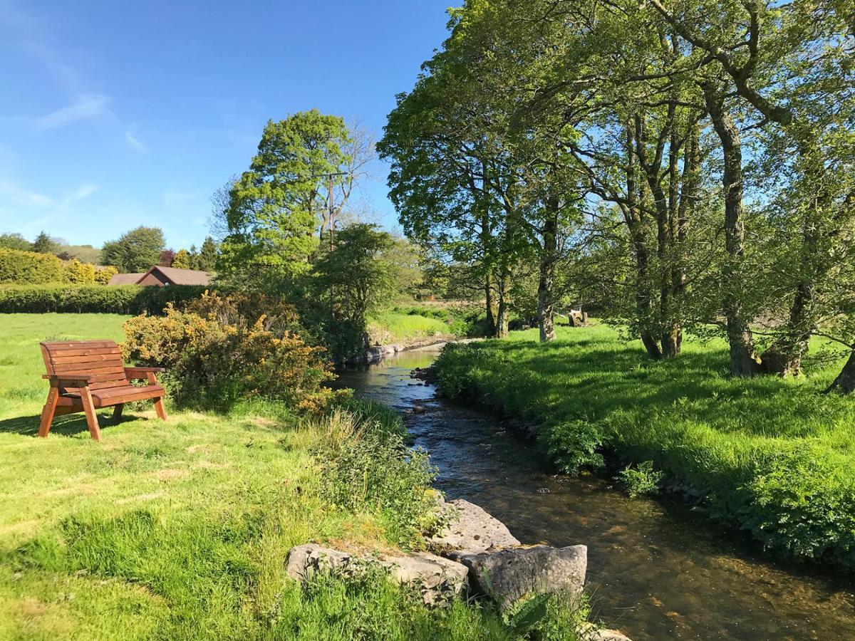 Maesyfelin Isaf B&B Llanybyther Esterno foto