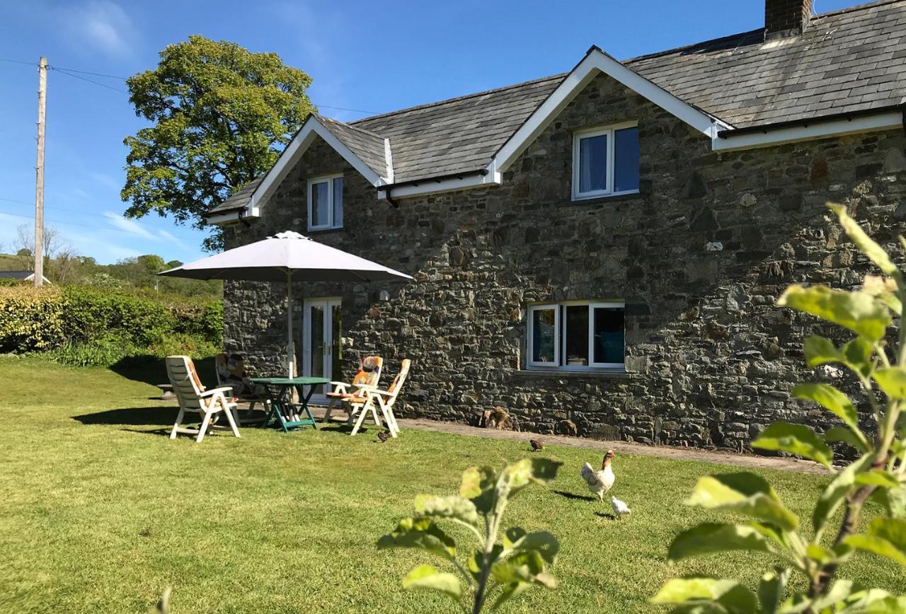 Maesyfelin Isaf B&B Llanybyther Esterno foto