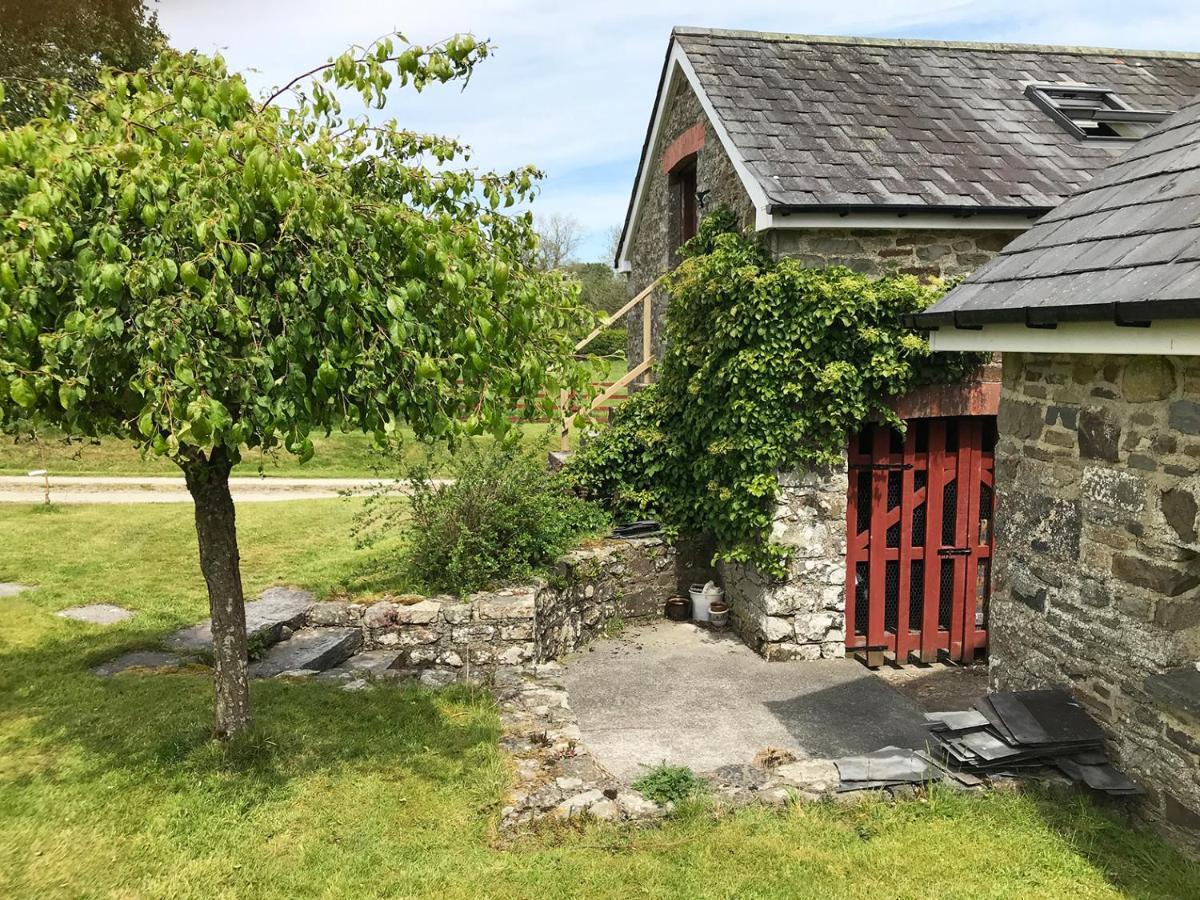 Maesyfelin Isaf B&B Llanybyther Esterno foto