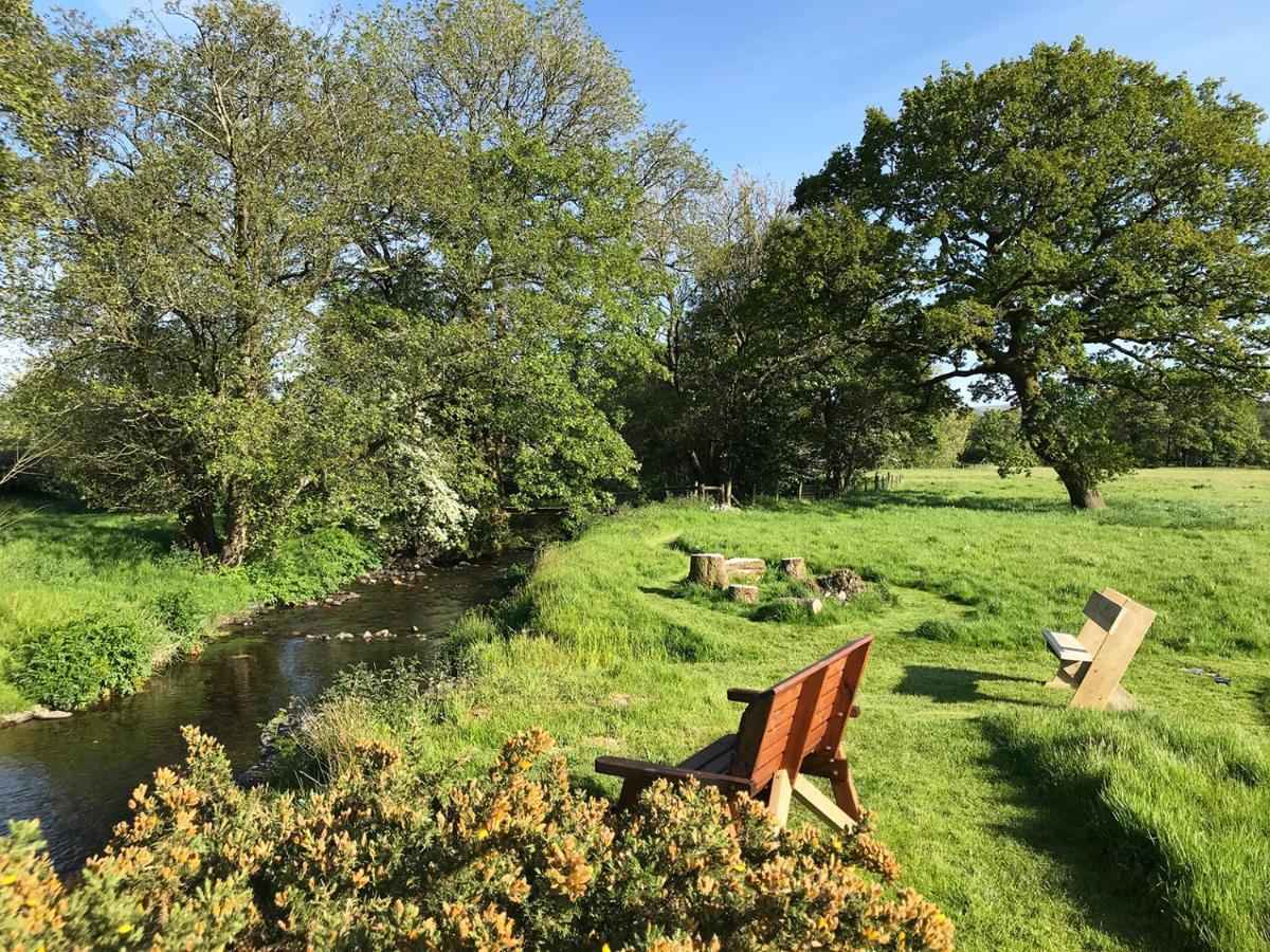 Maesyfelin Isaf B&B Llanybyther Esterno foto